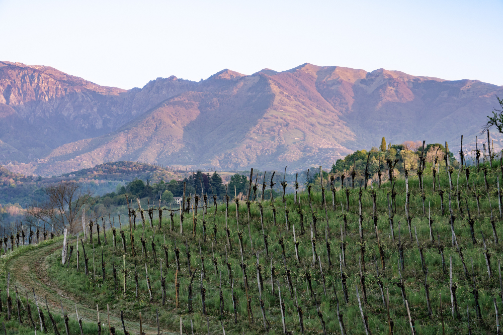 Asolo scenery Asolo scenery